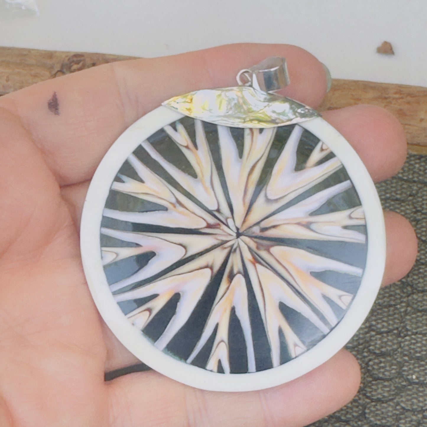 Sale - 2.25” Nautilus Shell Sterling Silver on 18" Sterling Silver Chain