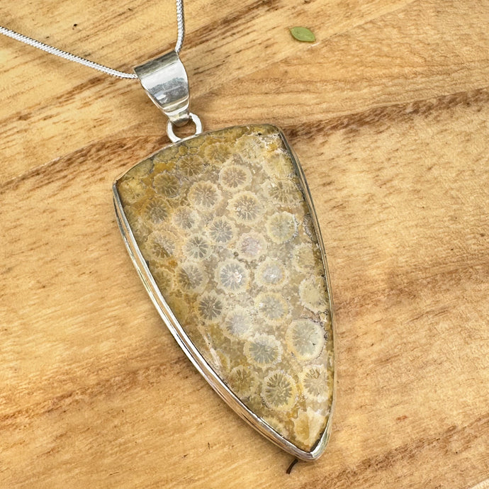 Fossilized Coral 2.6” Necklace 18”