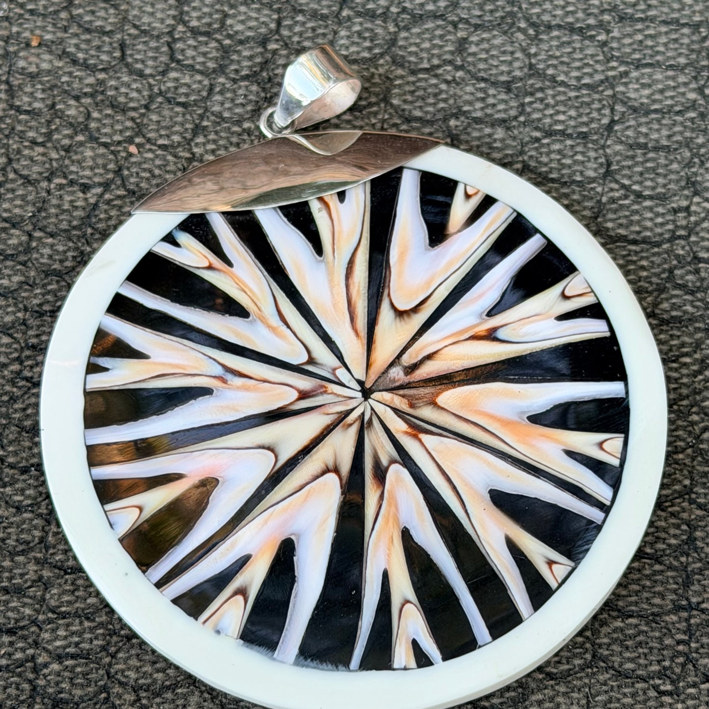 Sale -  2.25” Nautilus Shell Sterling Silver on 18" Sterling Silver Chain