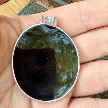 Sale - 2.3" Nautilus Shell Resin Sterling Silver on 18" Sterling Silver Chain