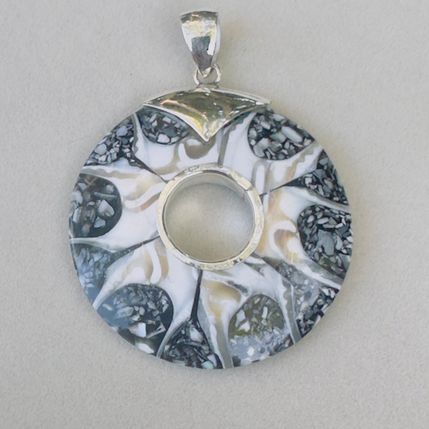 Sale -  2.3" Brown Spider Nautilus Shell Sterling Silver on 18" Sterling Silver Chain