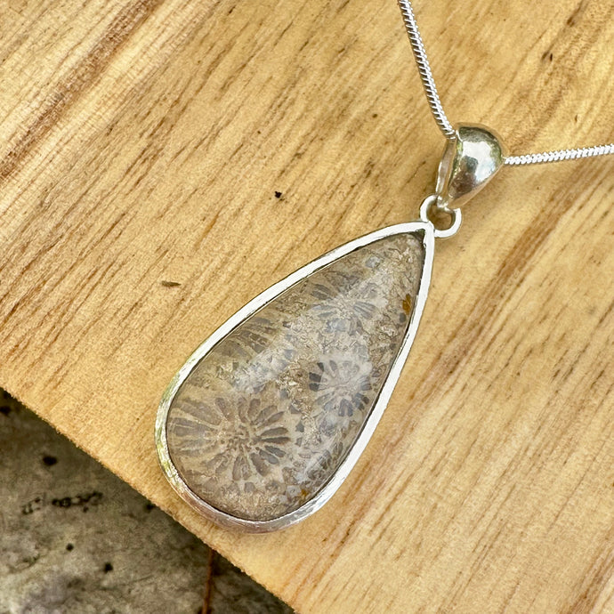 Fossilized Coral 1.6” Necklace 18”