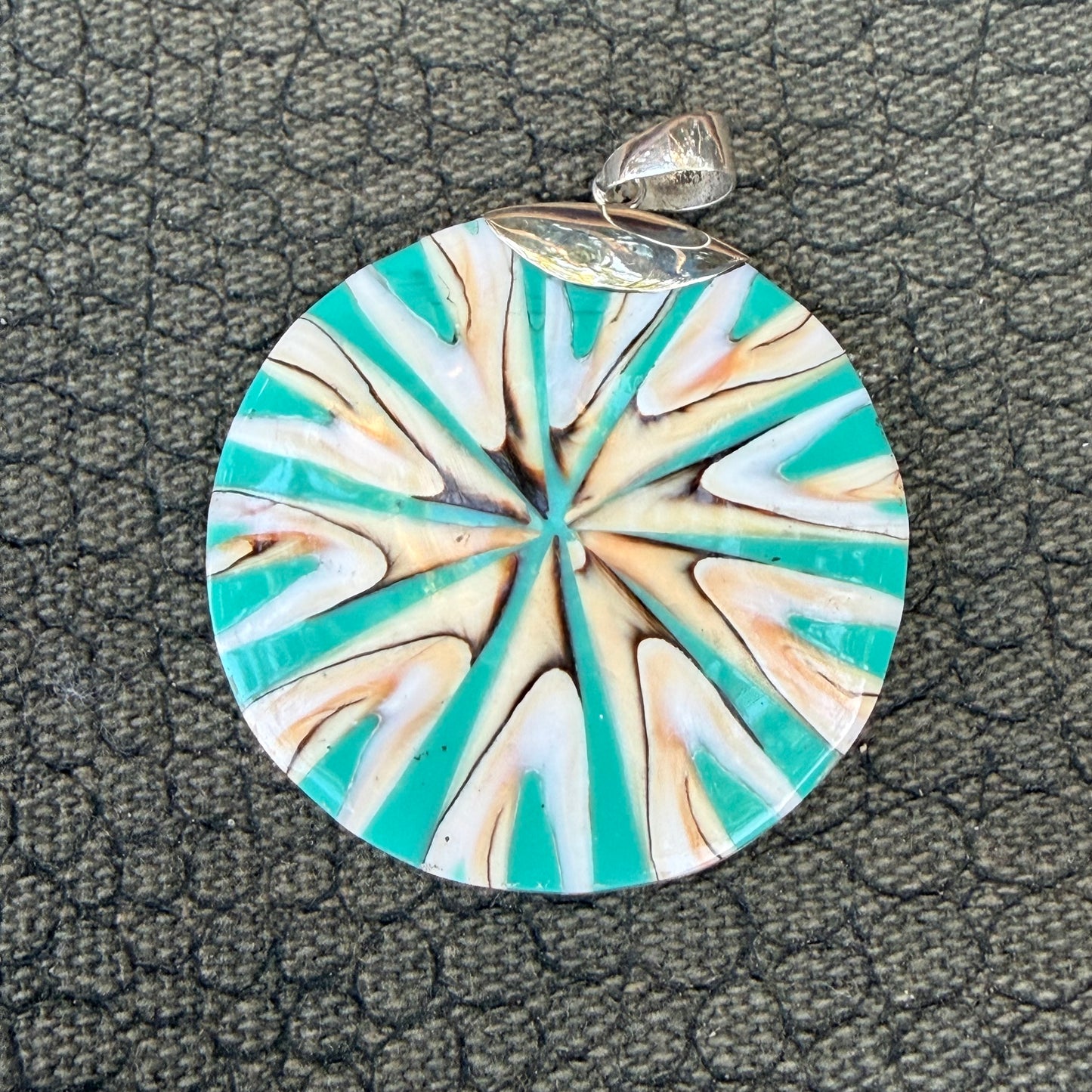 Sale - 2.2" Nautilus Shell Resin Sterling Silver on 18" Sterling Silver Chain