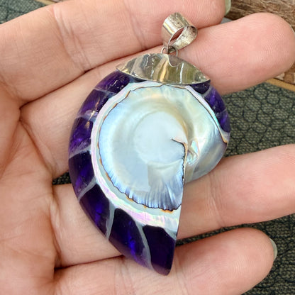 Sale - 2” Nautilus Shell Sterling Silver on 18" Sterling Silver Chain