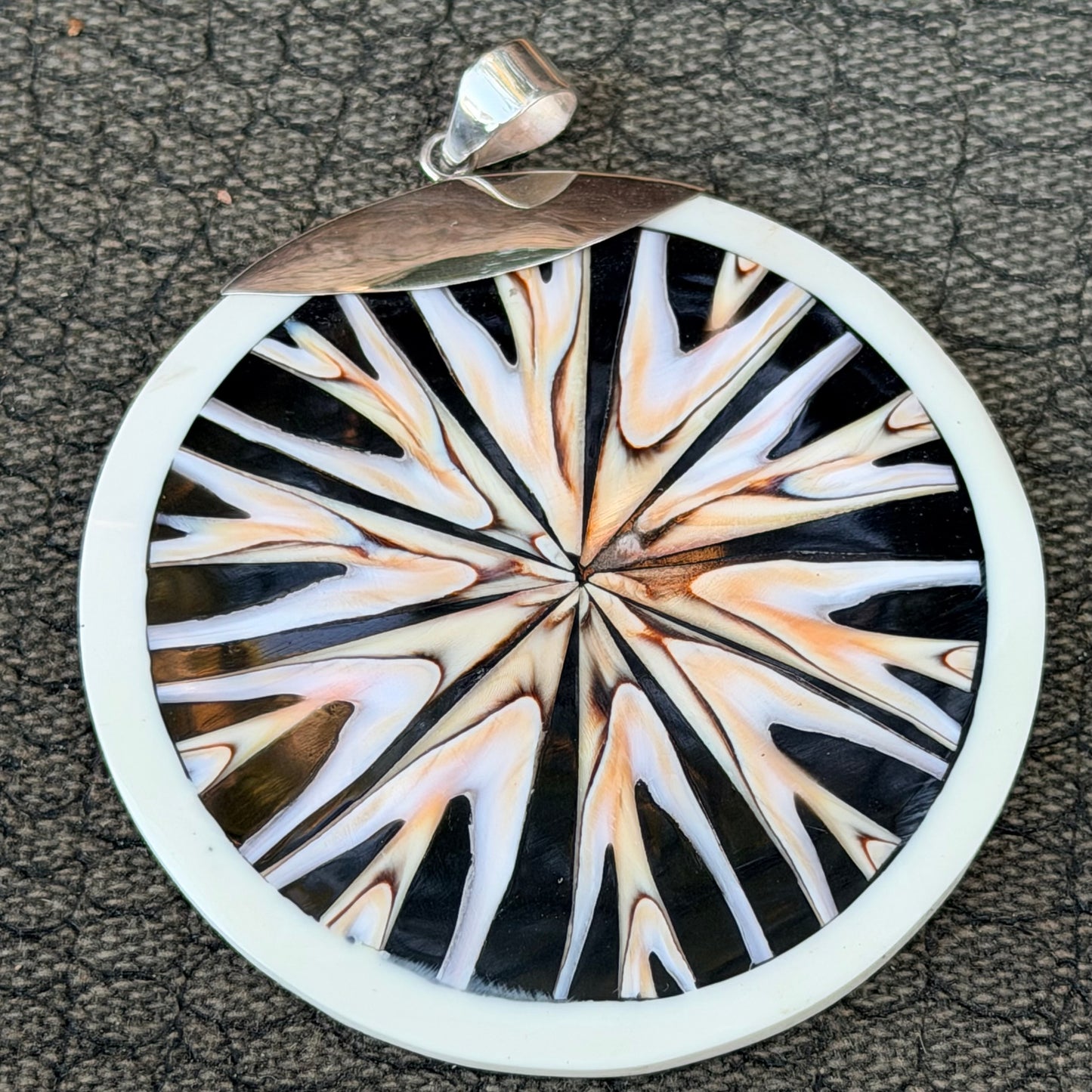 Sale -  2.25” Nautilus Shell Sterling Silver on 18" Sterling Silver Chain